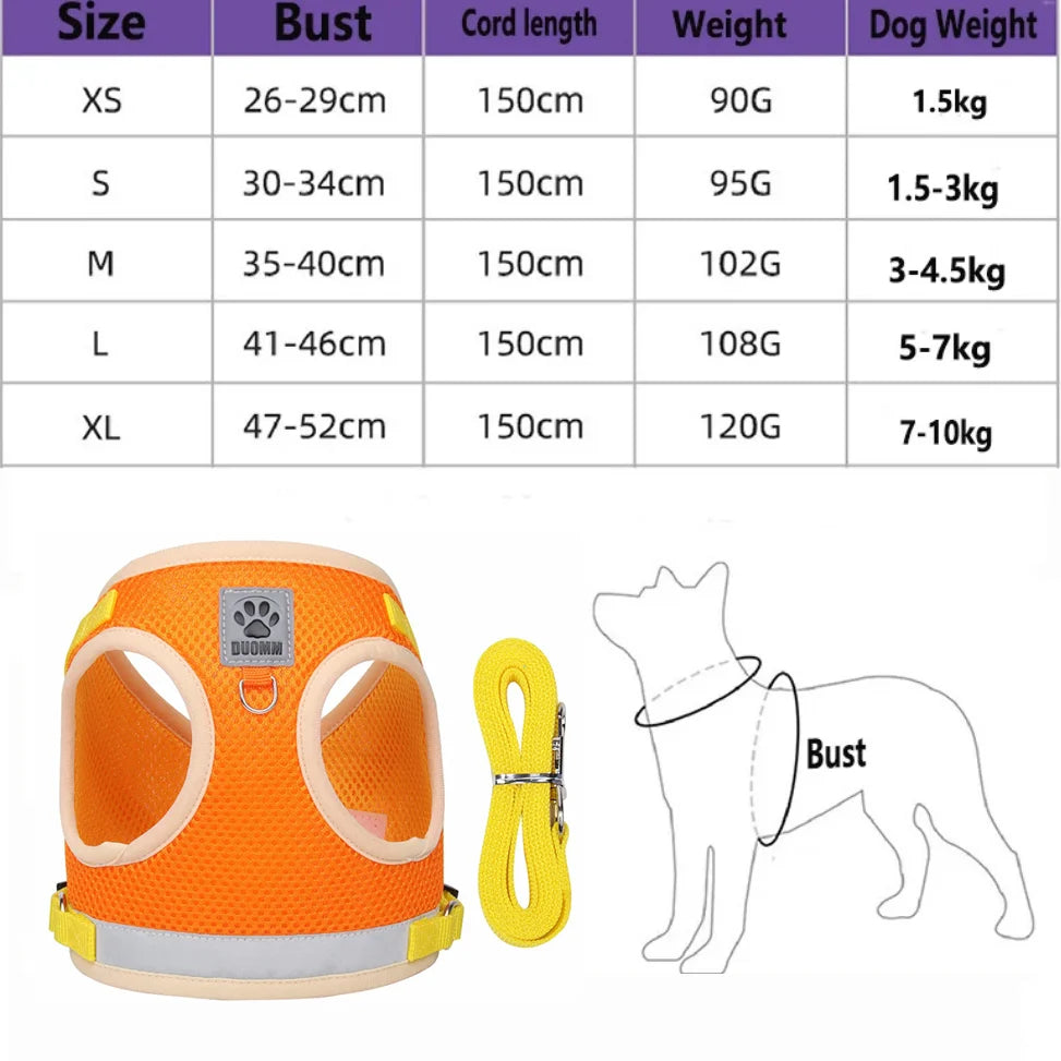 Summer Mesh Pet Harness Set