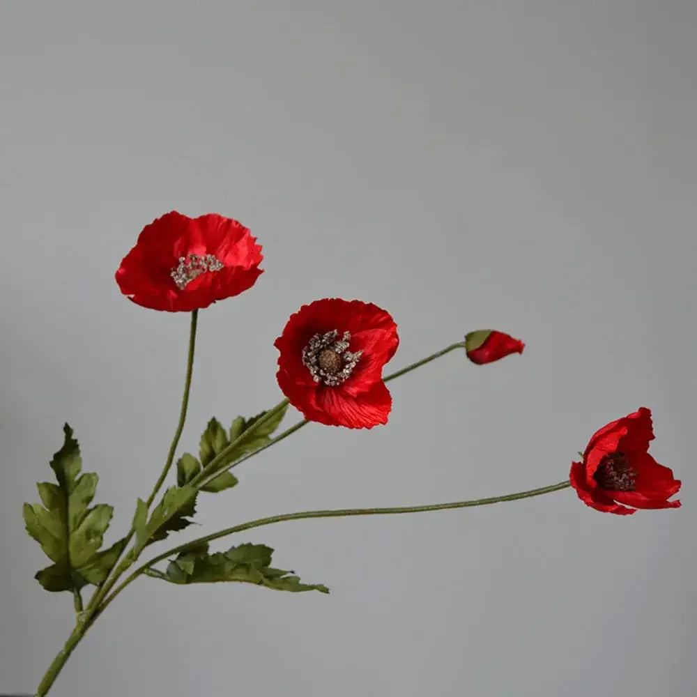 Silk Poppy Flower Stem