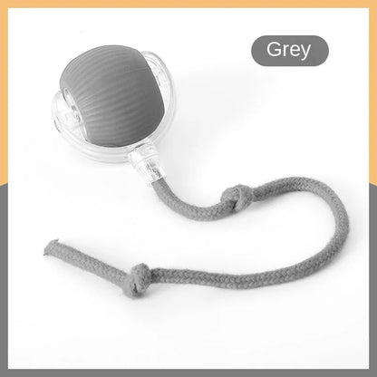 Smart Rolling Ball Cat Toy