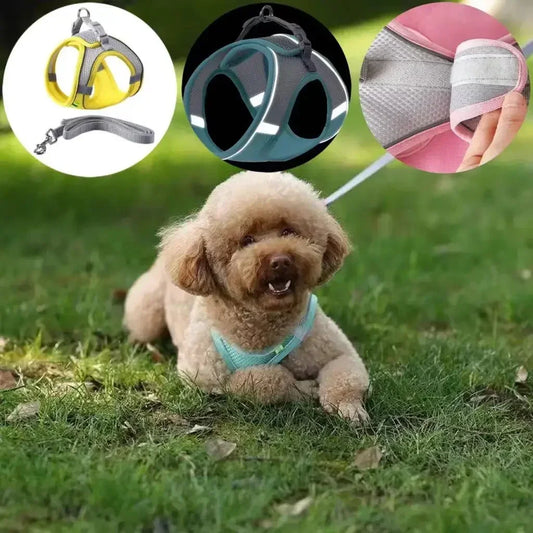 Adjustable Puppy Cat Harness Set
