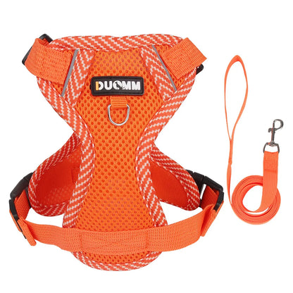 Reflective Mesh Cat Harness Set